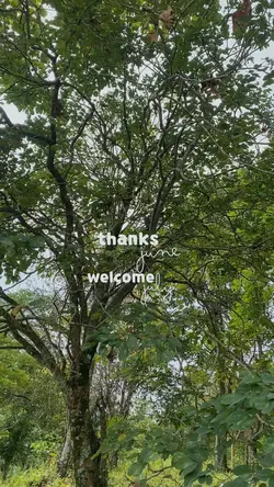 Thanks june 