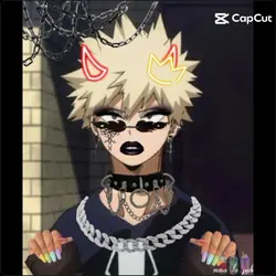 chauve souris