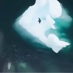 Art Of Escaping Edit