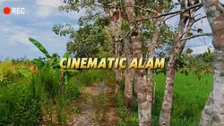 cinematic alam