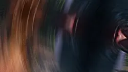 2枚template