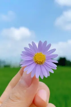 1st of August