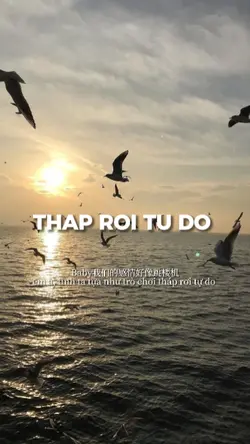 Tháp rơi tự do 