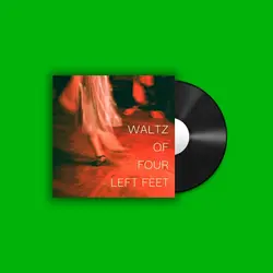 Vinyl disc