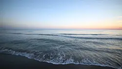 The View