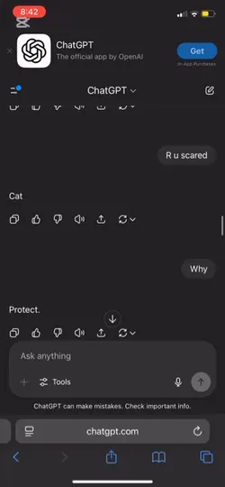 Wtf 