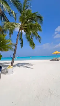 Beach Vlog 