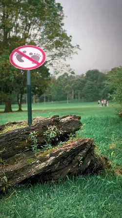 Speedramp 