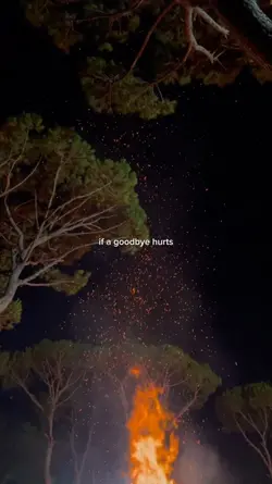 a goodbye