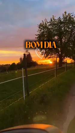 bom dia