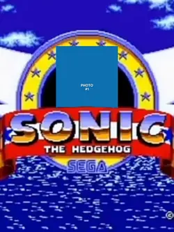 SEGA SONIC