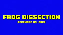 Frog dissection