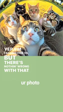 pose kucing ber 5