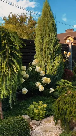 Gardening