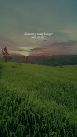 Air laut asing kan