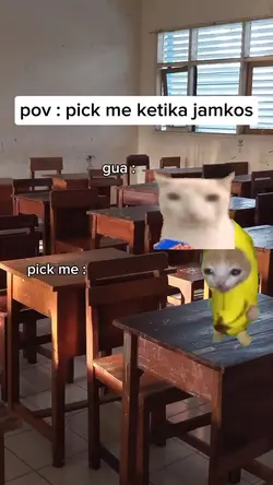 meme kucing viral