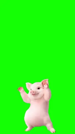 Marranito Dance