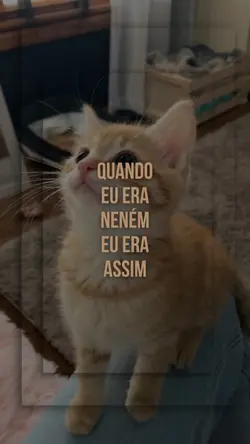 quando eu era neném