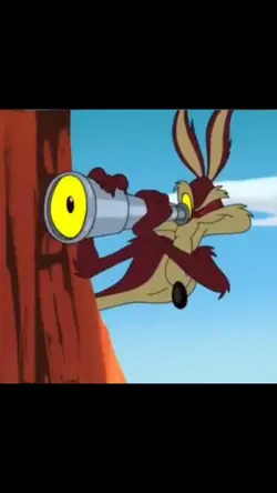 Coyote 