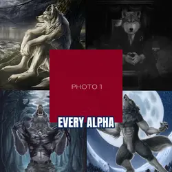 Alphas need kittens