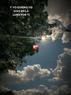 Vivo en la luna..❣️