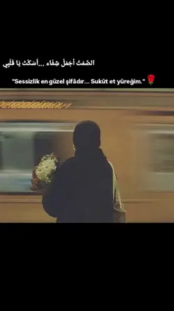 Sükut et