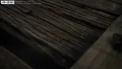 ບໍ່ມີ