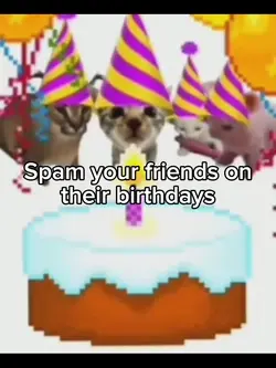 Happy birthday cats