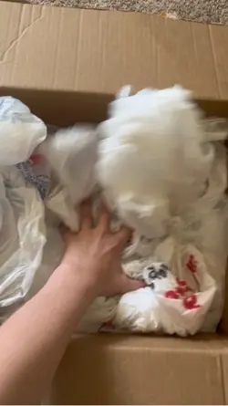 Packing an order !!