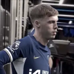 Palmer edit 