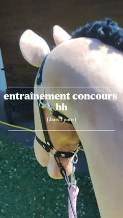 entraînemconcours hh