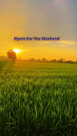 The Weekend