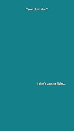 I don't wanna fight.
