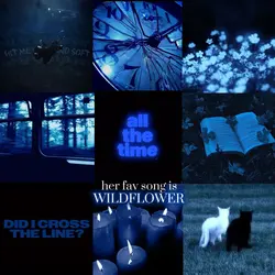 Wildflower💙