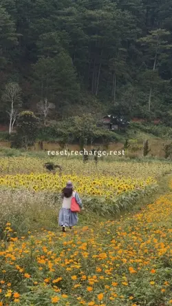 reset recharge rest
