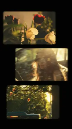 3 pict