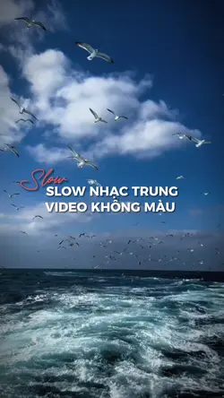 Slow Cuốn... 
