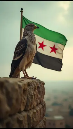 شد حيلك بلكي الله