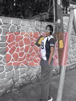 6pics