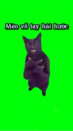Meme mèo vỗ tay