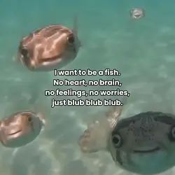 Fish 🐡💕