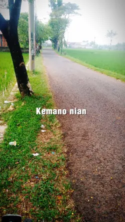 LAGU JAMBI