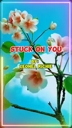 stuck on you