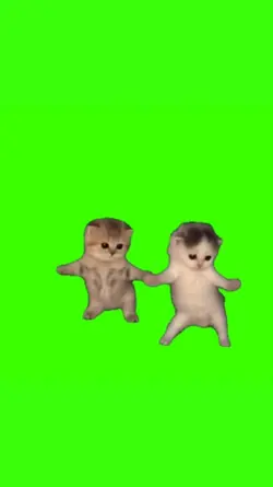 Vibing Kittens