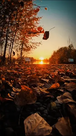 Sad slowmotion 