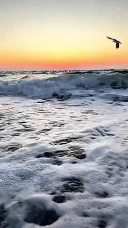 качество людей 
