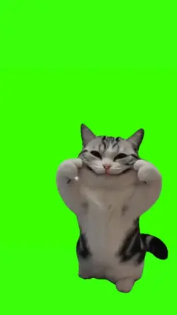 Silly Cat Meme