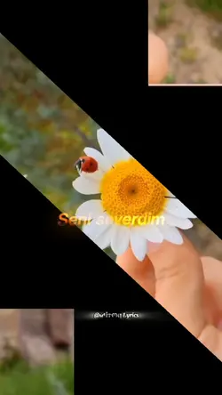 Seni Severdim 
