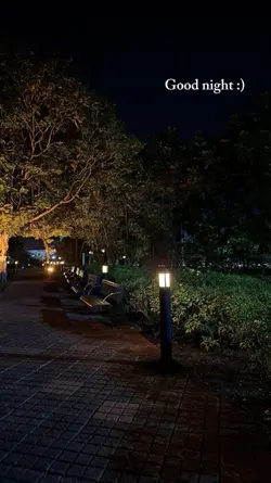 good night 