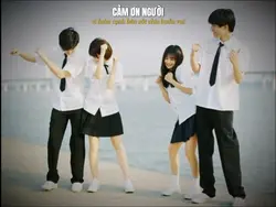 cảm ơn và xin lỗi